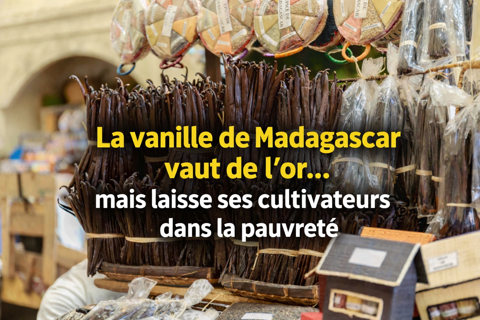 Gousses de vanille de Madagascar sur un marché, reflet du paradoxe économique des producteurs